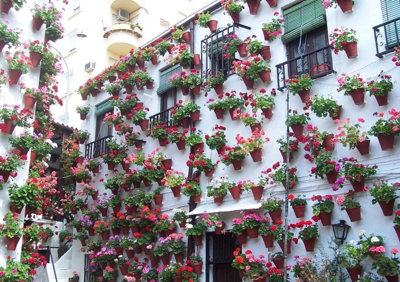 Apartaluz Centro Córdoba Arqueologico Balcon Exterior foto
